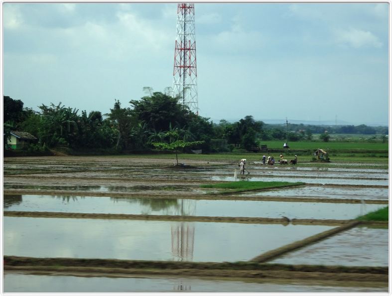 Parcours Jakarta - Yogyakarta.