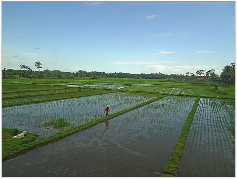 Parcours Jakarta - Yogyakarta.