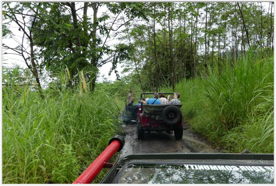 Excursion vers le volcan Merapi.
