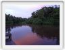 Retour au Rimba EcoLodge.