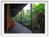 Rimba EcoLodge