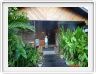 Rimba EcoLodge