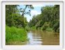 Notre excursion continue sur la Sekonyer River aux eaux brunes.