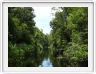 Notre excursion continue sur la Sekonyer River; les eaux sont maintenant 