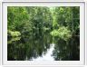 Notre excursion continue sur la Sekonyer River; les eaux sont maintenant 
