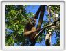 Camp Leakey.