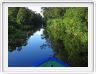 Sur le retour au Rimba EcoLodge.