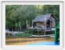 Sur le retour au Rimba EcoLodge.