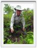 Participation au reboisement de Borneo: plantation d'un arbre.