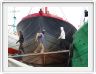 Jakarta. Port Sunda Kelapa.