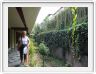 Ubud (Bali).