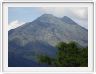 Kintamani