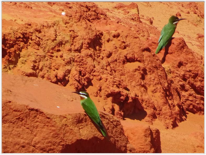 Les Tsingys rouges de l'Irodo.