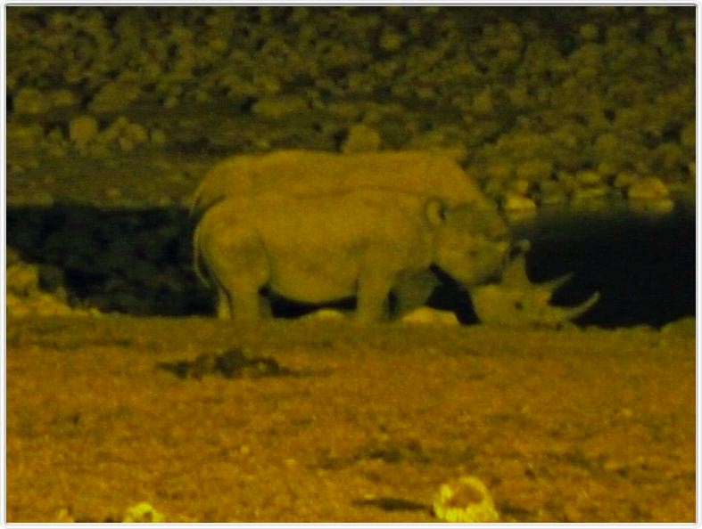 Parc Etosha
