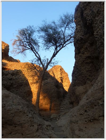Canyon de Sesriem