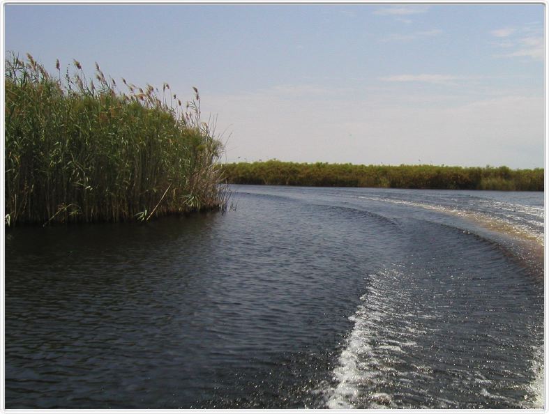 Delta de l'Okavango