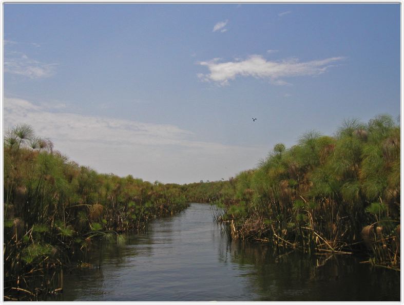 Delta de l'Okavango