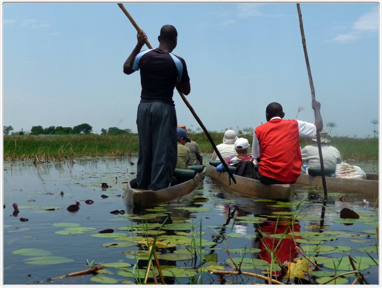Delta de l'Okavango