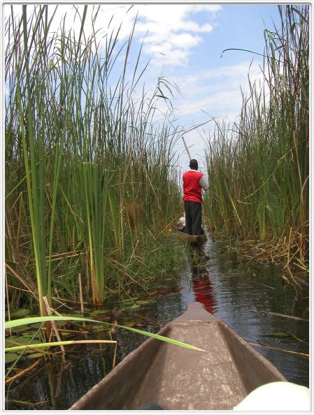 Delta de l'Okavango