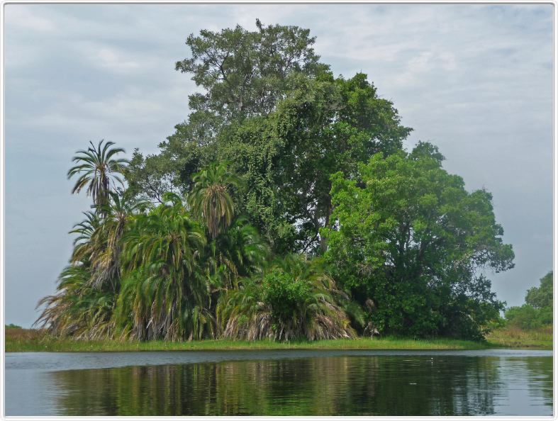 Delta de l'Okavango