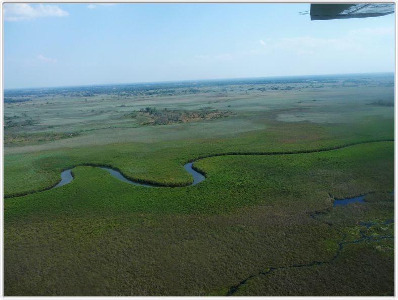 Delta de l'Okavango