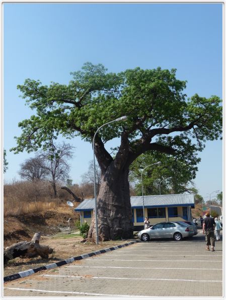 De retour au Botswana