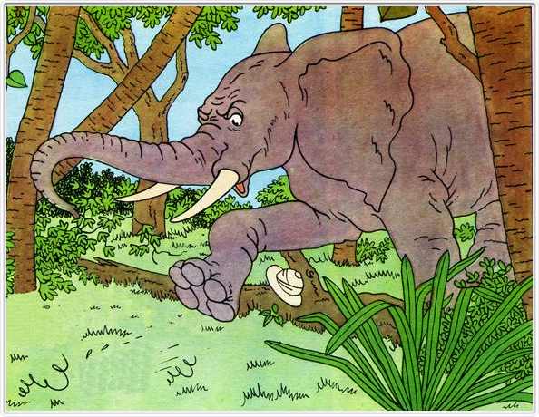 Attention : éléphants !