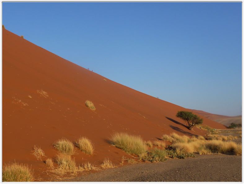 Au pied de la dune