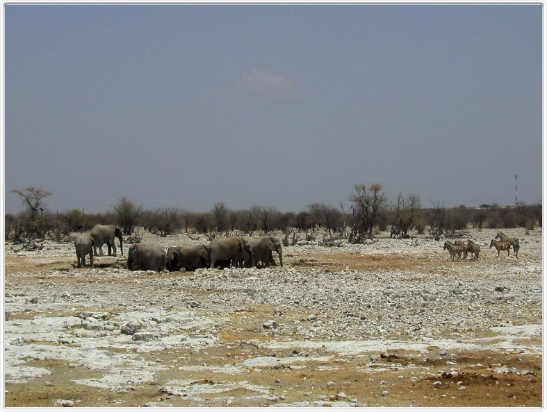 Parc Etosha
