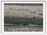 Parc Etosha