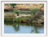 Rundu