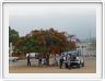 Rundu