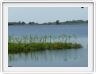 Delta de l'Okavango