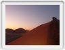 Désert du Namib : dune 45