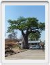 De retour au Botswana