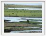 Parc Chobe