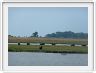 Parc Chobe