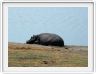 Parc Chobe
