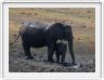 Parc Chobe