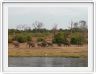 Parc Chobe