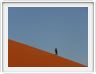 Descente de la dune