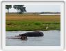 Parc Chobe
