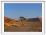 Au pied de la dune