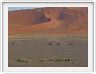 Désert du Namib