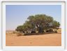 Campement de Sesriem