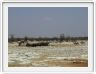Parc Etosha