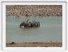 Parc Etosha