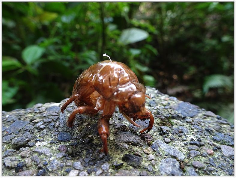Région de La Fortuna (Costa Rica)