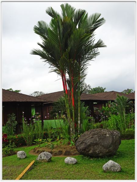 La Fortuna (Costa Rica)