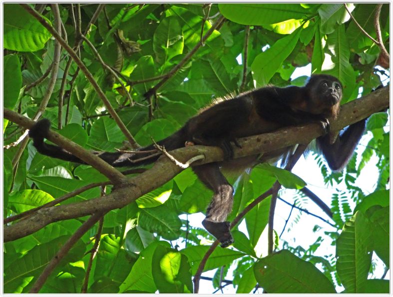 Samara (Costa Rica)
